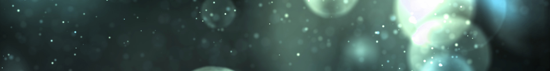 Leadership: Team Members vs. Employees